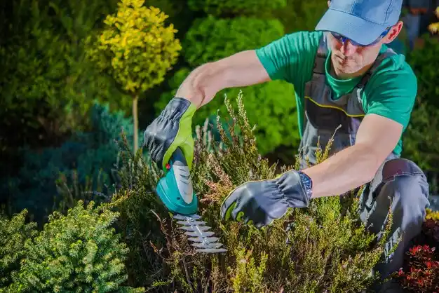 landscaping services Steele